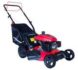 PowerSmart DB2194S 21