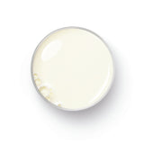 Breville BMF300BSS Milk Frother, Silver