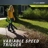 GreenWorks STBA40B210 G-MAX 40V Cordless String Trimmer and Blower Combo Pack