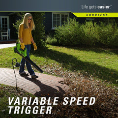 GreenWorks STBA40B210 G-MAX 40V Cordless String Trimmer and Blower Combo Pack